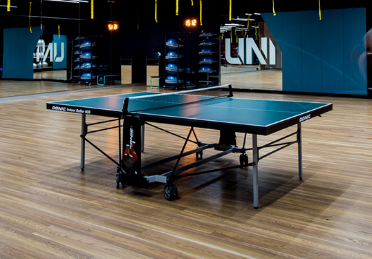 Настільний теніс