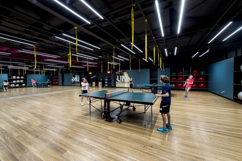 Настільний теніс 77