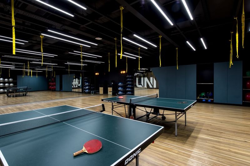 Настільний теніс 80