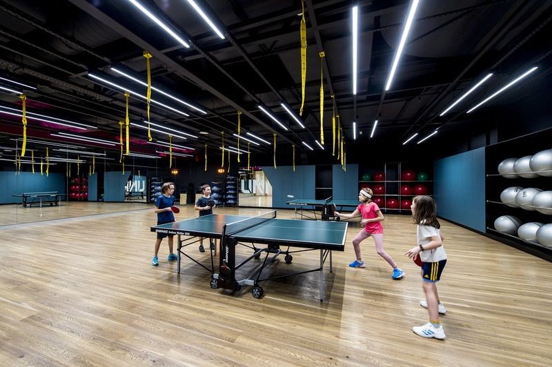 Настільний теніс 79