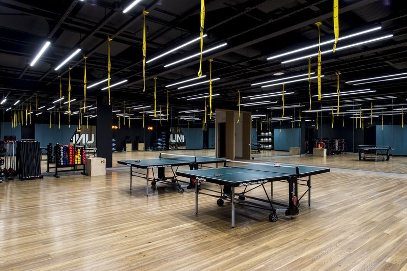 Настільний теніс 81