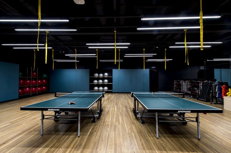 Настільний теніс 82