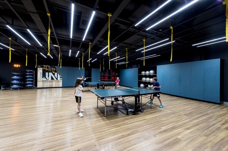 Настільний теніс 78